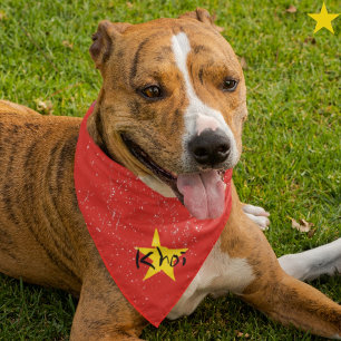 Grunge Vietnam Flag Custom Name Pet Bandana