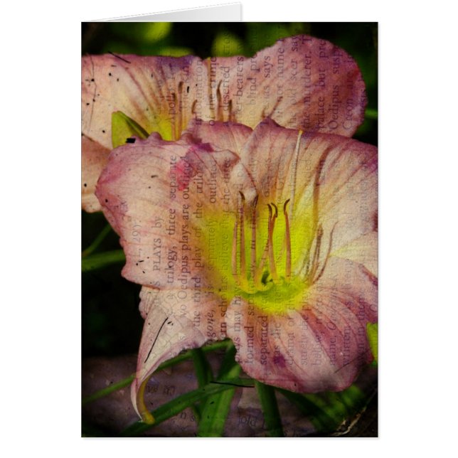 Grunged Up Look Daylily Cards (Front)