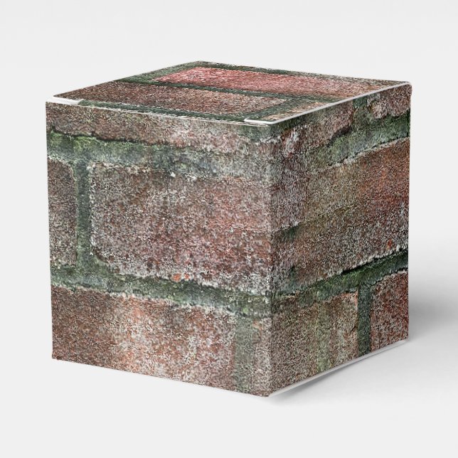 Grungy Dirty Moldy Brick Wall  Favor Boxes (Front Side)