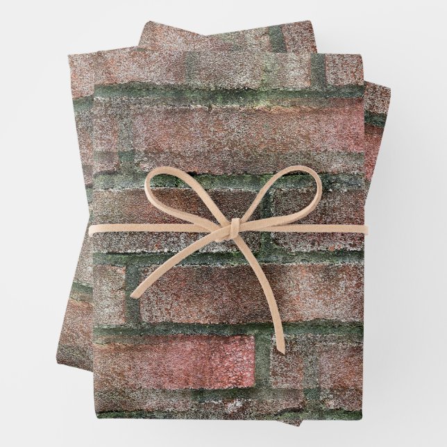 Grungy Dirty Moldy Brick Wall  Wrapping Paper Sheets (In situ)