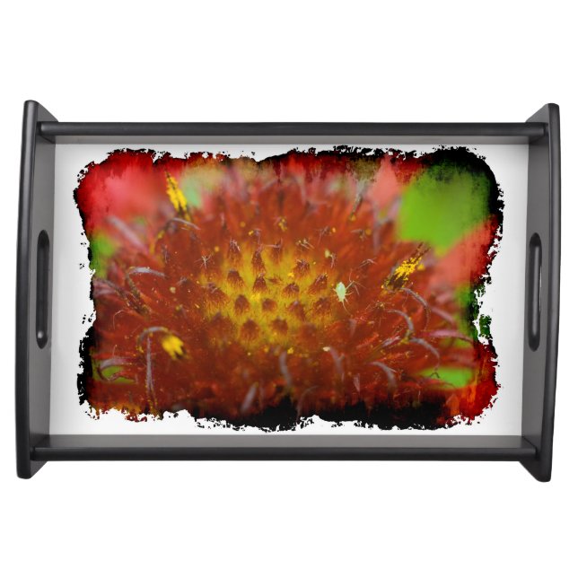 Grungy Painted Blanket close-up Serving Tray (Front)