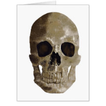 Grungy Skull Halloween