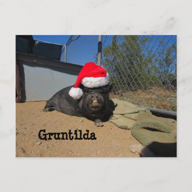 Gruntilda Post-Card Holiday Postcard (Front)