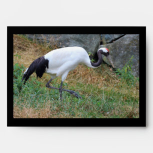 Grus japonensis envelope