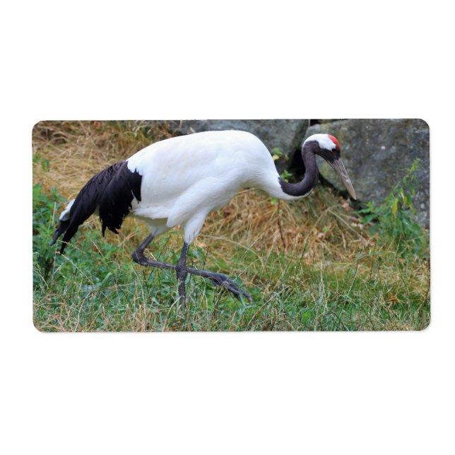 Grus japonensis label (Front)