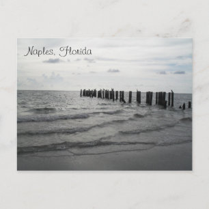 Grüße aus Florida Grußkarte Postkarte Postcard