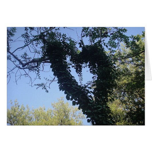 Grusskarte Baumherz, blanko (Front Horizontal)