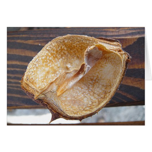 Grusskarte Kastanienschale, blanko (Front Horizontal)