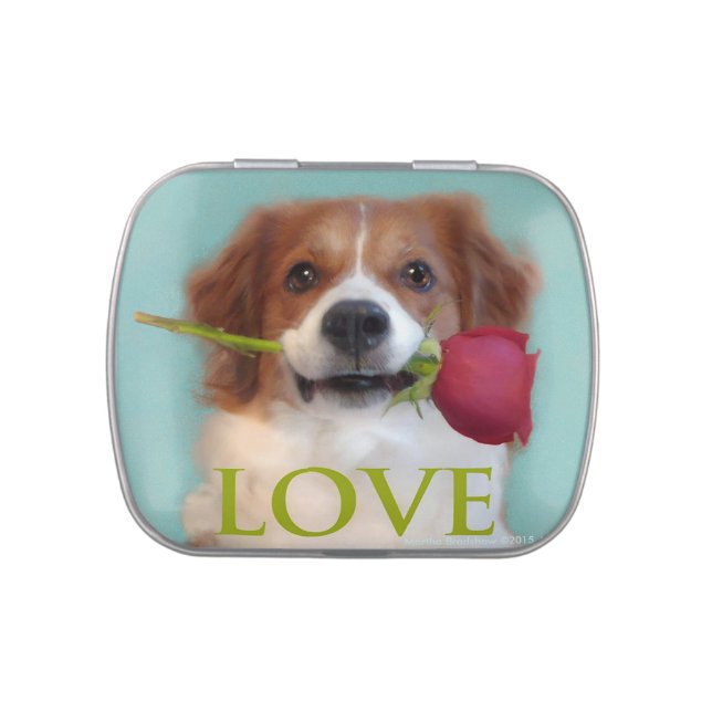 Gryn Sweet Jelly Bean tin (Top)