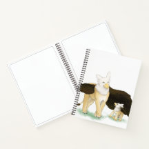Gryphon and baby book
