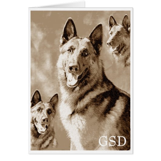 GSD Defined Cards (Front)