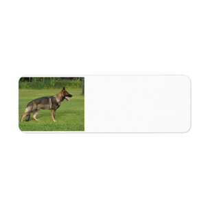 gsd full sable label