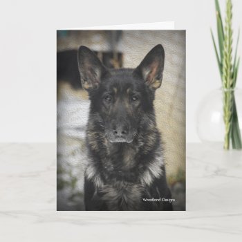 Gsd Note Cards by woodlandesigns at Zazzle