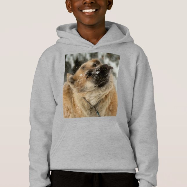 GSD Shake Hoodie (Front)