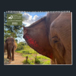 GSE 2022 Wall Calendar<br><div class="desc">Celebrate your love for elephants and your support of elephant sanctuary all year round. This calendar features all of the elephants who have called ESB home in some of your favorite photographs.</div>