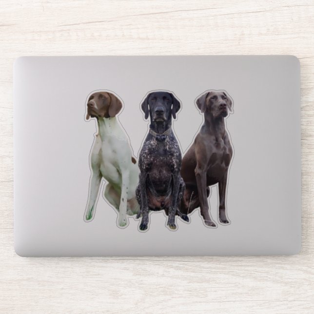 (GSP) Deutsch Kurzhaar Sticker (Computer)