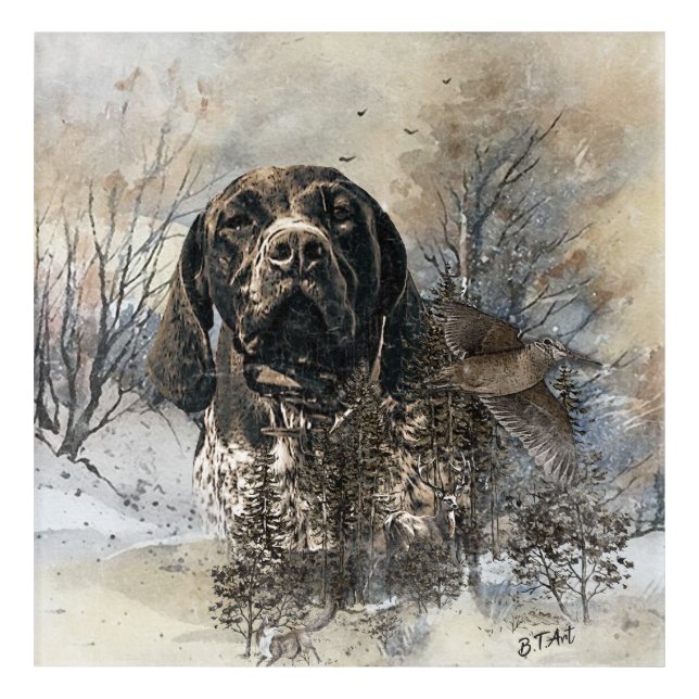 GSP, German Shorthaired Pointer Acrylic Print (Front)