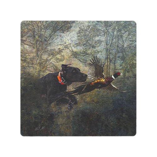 GSP  Hunting pheasant  Metal Print