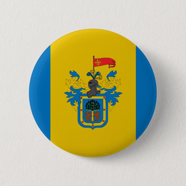 Guadalajara, Mexico Pinback Button (Front)