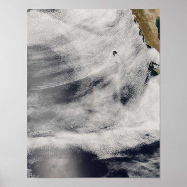 Guadalupe Island Poster (Front)