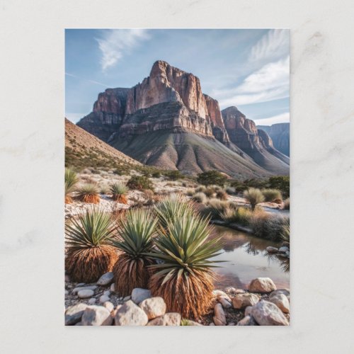 Guadalupe Mountains National Park Travel Postcard