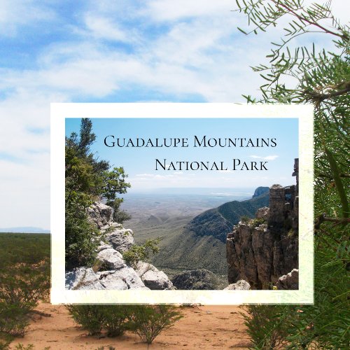 Guadalupe Mountains Vista Postcard