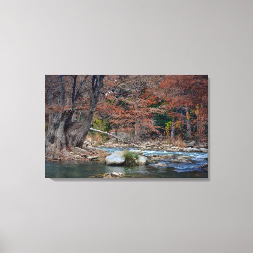 Guadalupe River Canvas Print