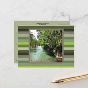 Guadalupe River in Gruene, Texas Postcard