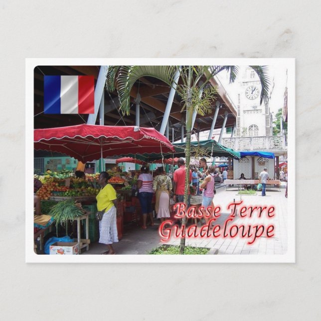 Guadeloupe - Basse Terre - Postcard (Front)