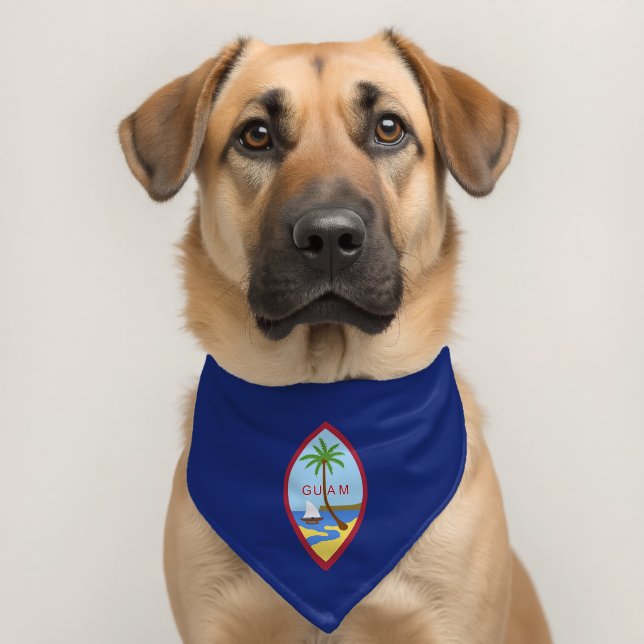 Guam flag pet bandana collar (Dog 2)