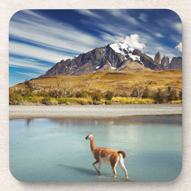 Guanaco crossing the river in Torres del Paine Beverage Coaster (Front)