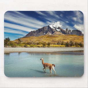 Guanaco crossing the river in Torres del Paine Mouse Pad