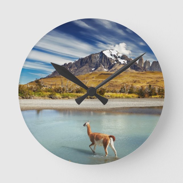 Guanaco crossing the river in Torres del Paine Round Clock (Front)