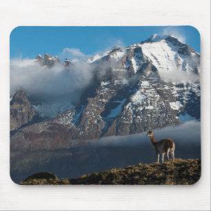 Guanaco in the Mountains   Chile Mouse Pad