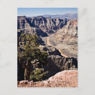 Guano Point -postcardcopy Postcard