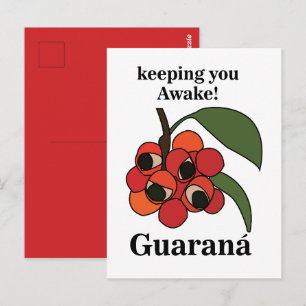 Guarana Fruit Plant Botanical Postcard