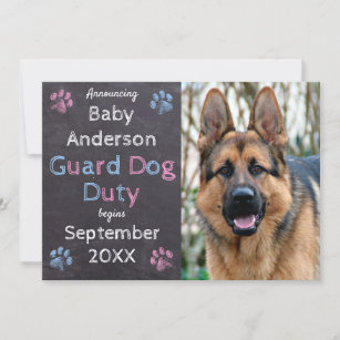 Guard Dog Duty Begins Pregnancy Announcement