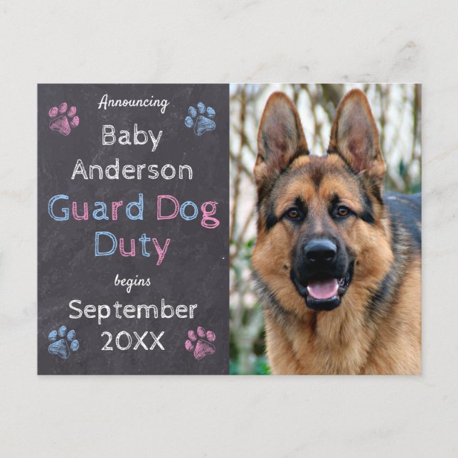 Guard Dog Duty Begins Pregnancy Announcement Postcard (Front)