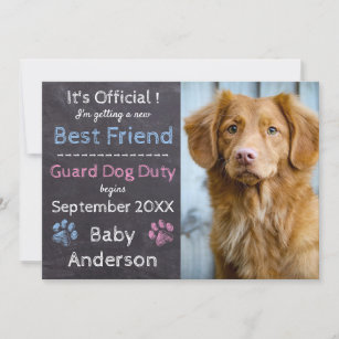 Guard Dog Duty Pregnancy Announcement