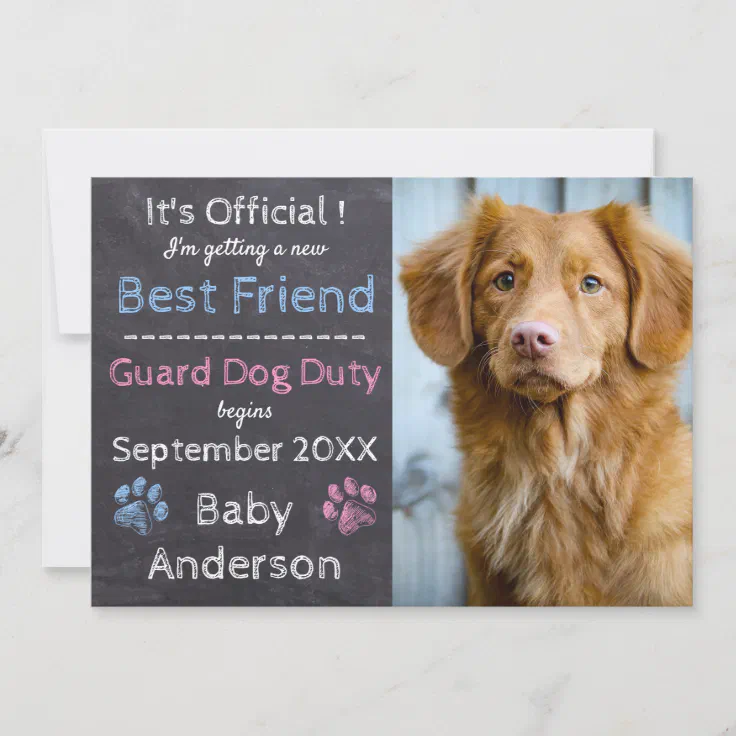 Pregnancy Announcement Pet TShirt Baby Guard Dog Duty Begins Shirt 