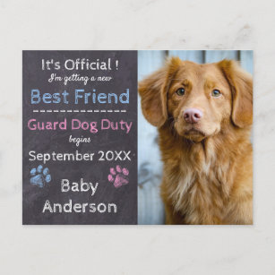 Guard Dog Duty Pregnancy Announcement Postcard