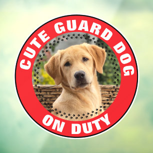 Guard Dog On Duty Alert Custom Pet Photo Cute Window Cling