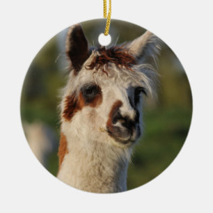 Guardian Llama Ceramic Ornament