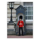 Guardsman, Buckingham Palace (Front)