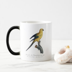 Guarouba dans sons jeune age / Sun parakeet  Color Morph Mug