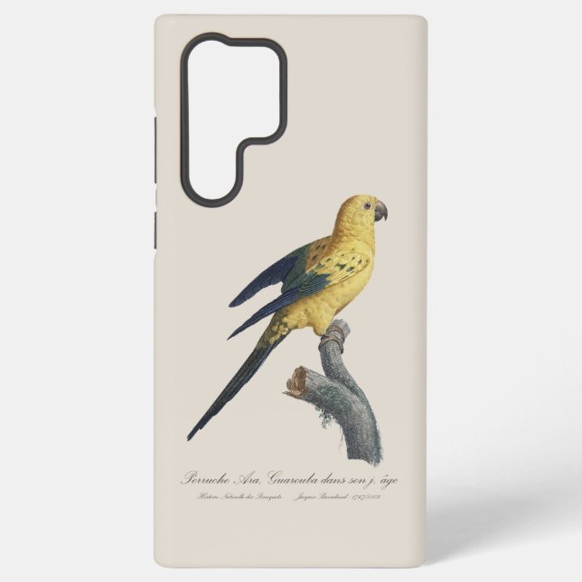 Guarouba dans sons jeune age / Sun parakeet  Samsung Galaxy Case (Back)