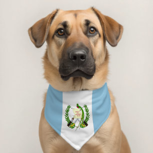 Guatemala flag pet bandana collar