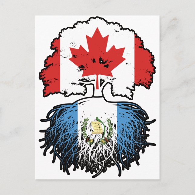 Guatemala Guatemalan Canadian Canada Tree Roots Postcard (Front)