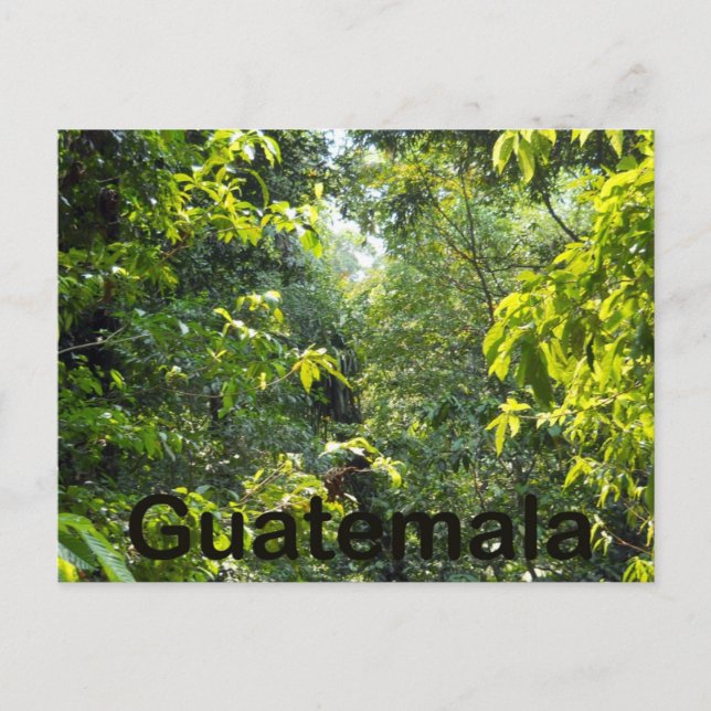 Guatemala Postcard (Front)