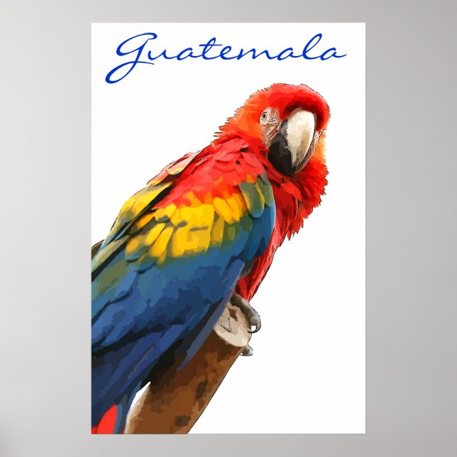 Guatemala Scarlet Macaw Poster (Front)